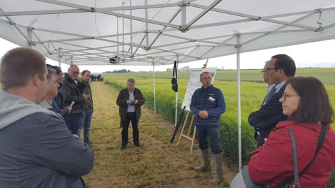 Plus de 80 artisans brasseurs sont venus à la journée organisée par Soufflet à Pithiviers-le-Vieil (Loiret). © A. RICHARD